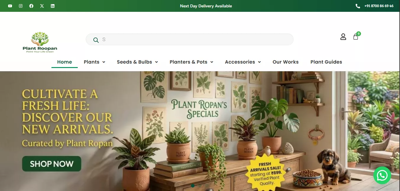 Plant Roopan Online Plant Store