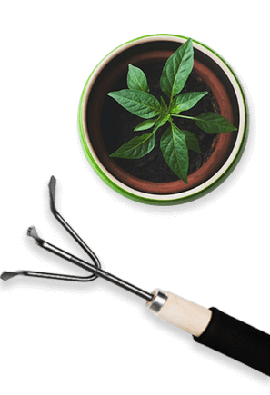 Gardening Essentials Illustration