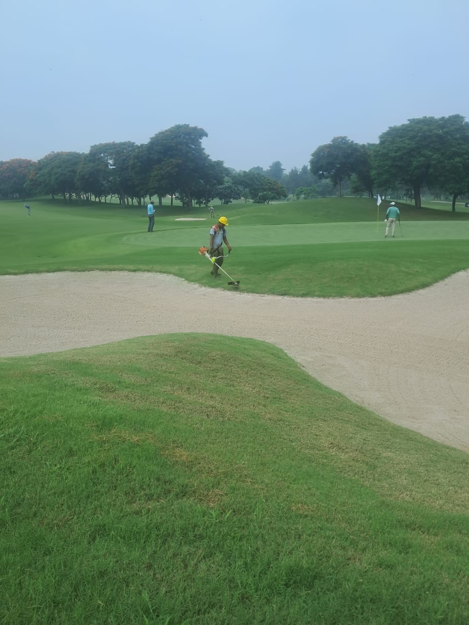 Plant Roopan Landscape Maintenance Crew