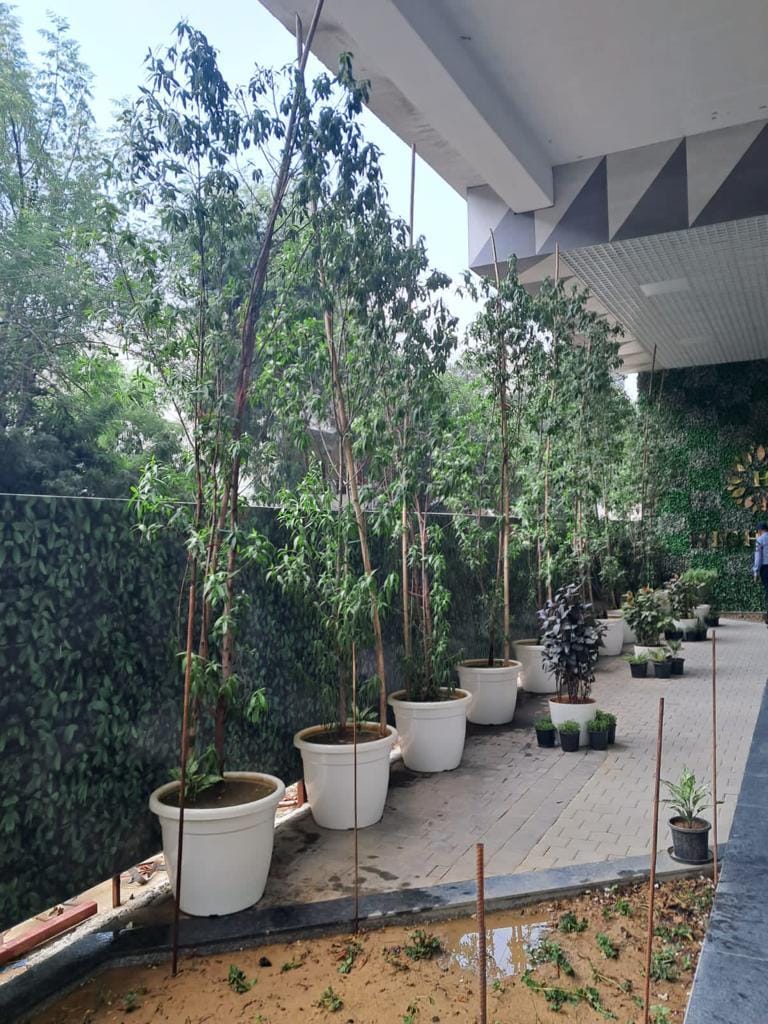 Silver Glades
