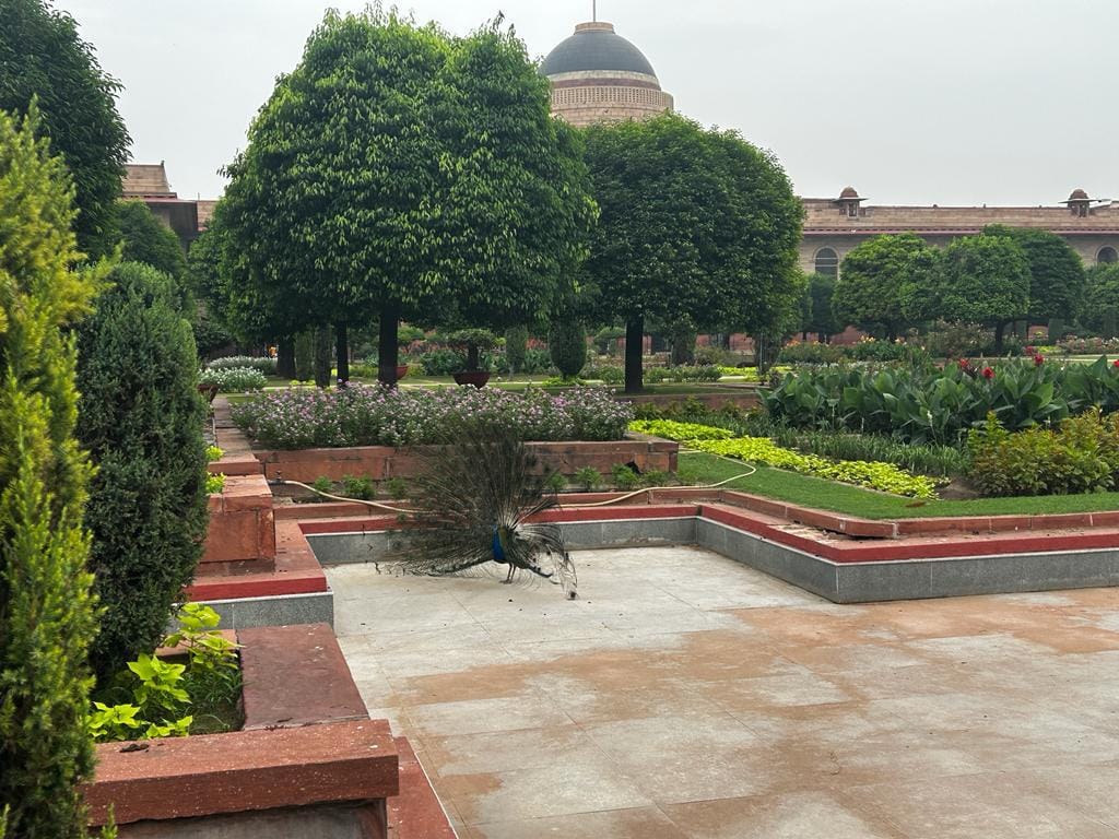 Amrit Udyan Rashtrapati Bhawan