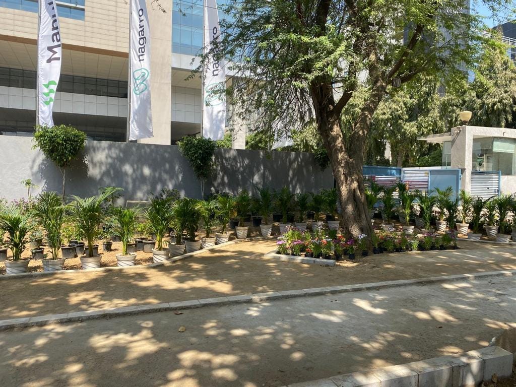 Nagarro Gurugram