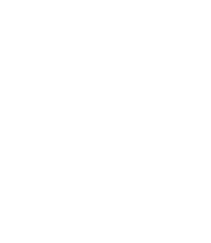 Plant Roopan Left Branch