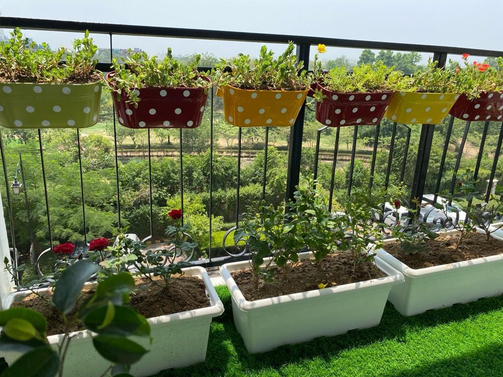 Plant Roopan Garden Elements and Planters