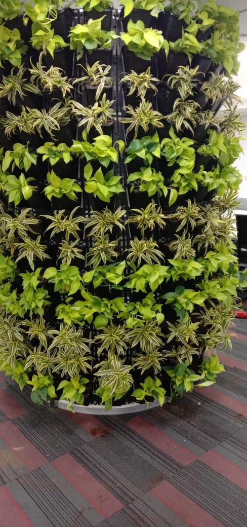 Vertical Garden Installations