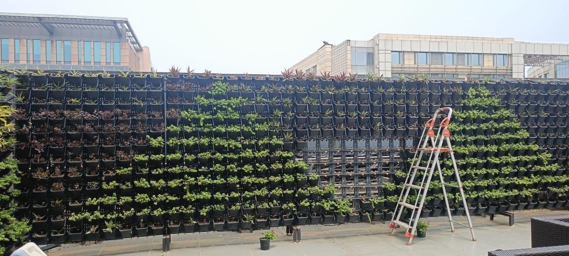 Plant Roopan Vertical Green Wall Setup